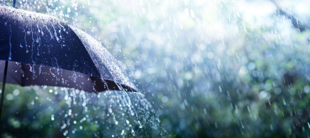 雨に打たれている傘