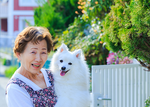 「愛犬と暮らしている。私が倒れたら･･･!?」　70代女性 イメージ