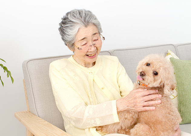 「愛犬と暮らしている。私が倒れたら･･･!?」　70代女性 イメージ