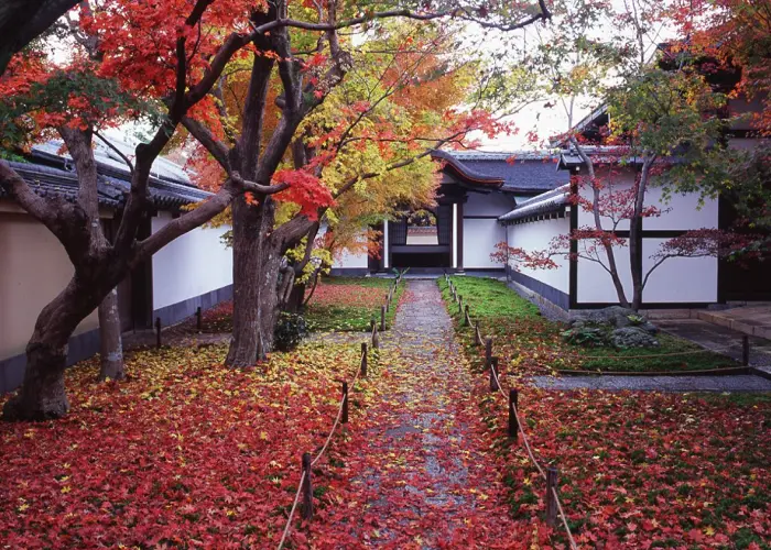 黄梅院（大徳寺塔頭） 写真