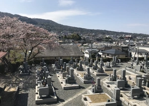 東山共同墓地 写真