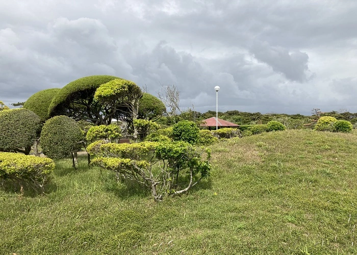 神栖市営公園墓地松濤園 写真