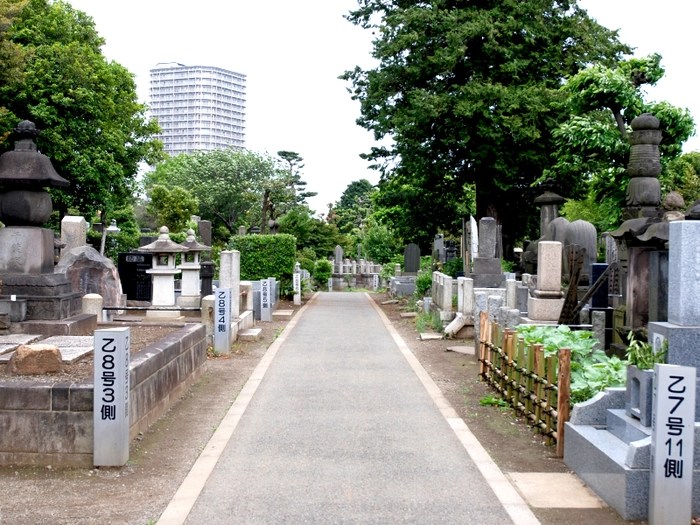 都立谷中霊園 写真