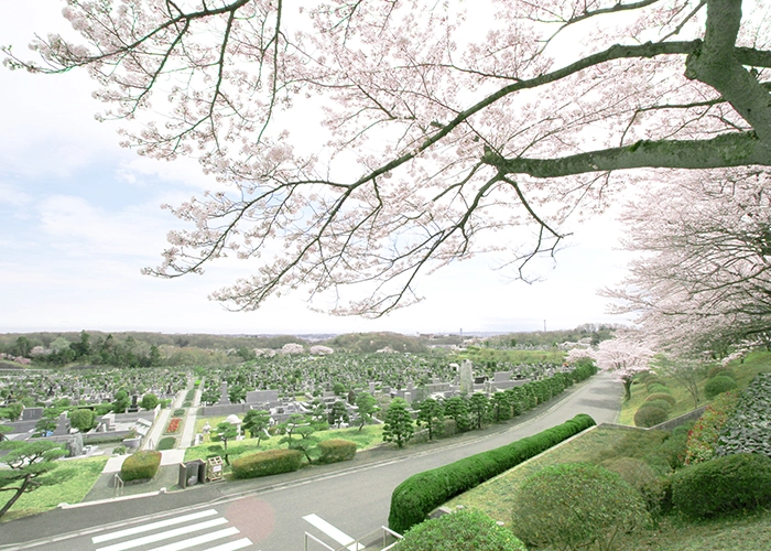 東京霊園 写真