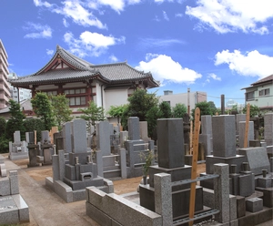 徳雲寺 写真