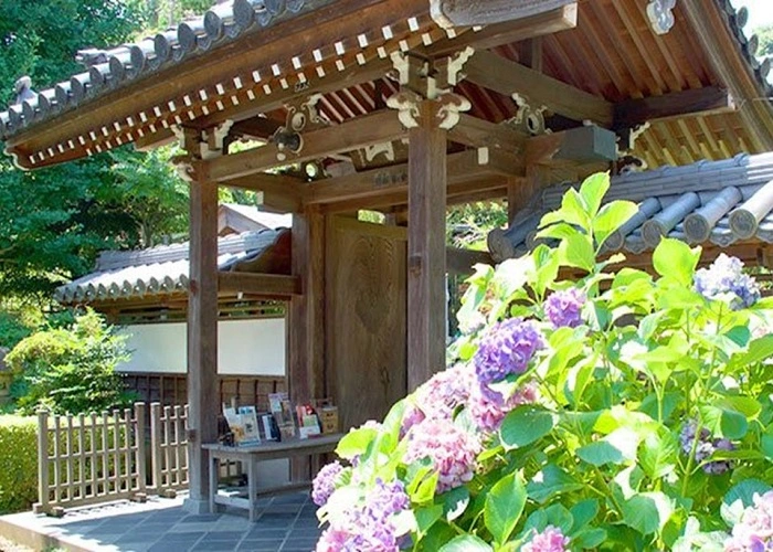 東光禅寺 写真