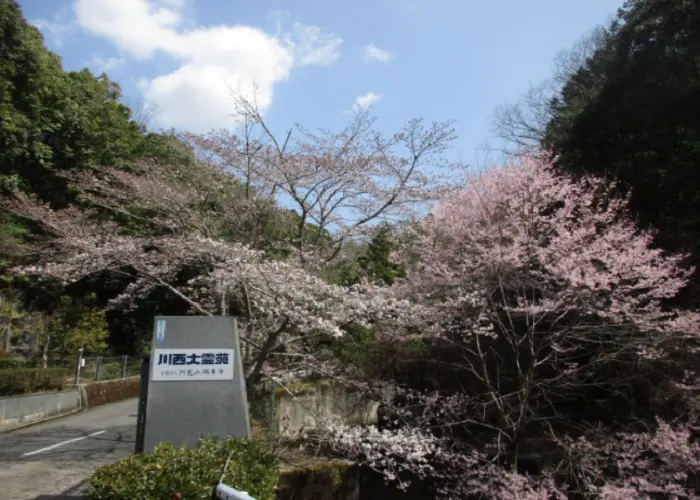 川西大霊苑 写真