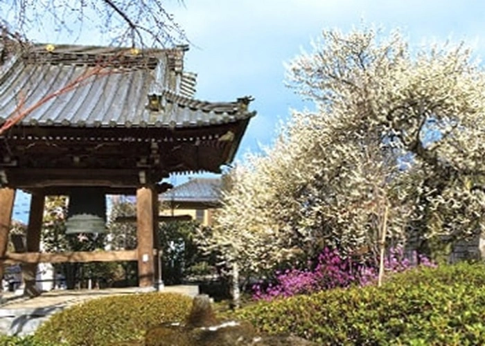 臥龍山 雲松院 写真