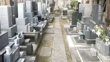 寶珠山 東福院 写真