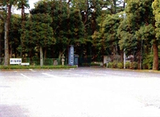 妙法寺 堀之内静堂 写真