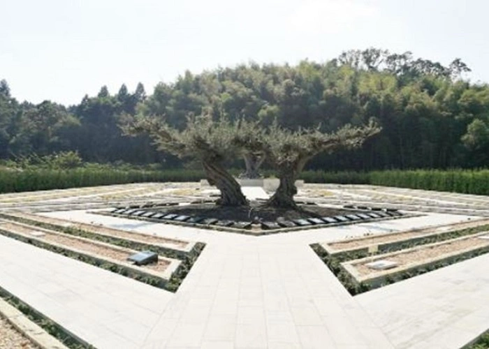 樹木葬専門霊園 千年オリーブの森・大阪 写真