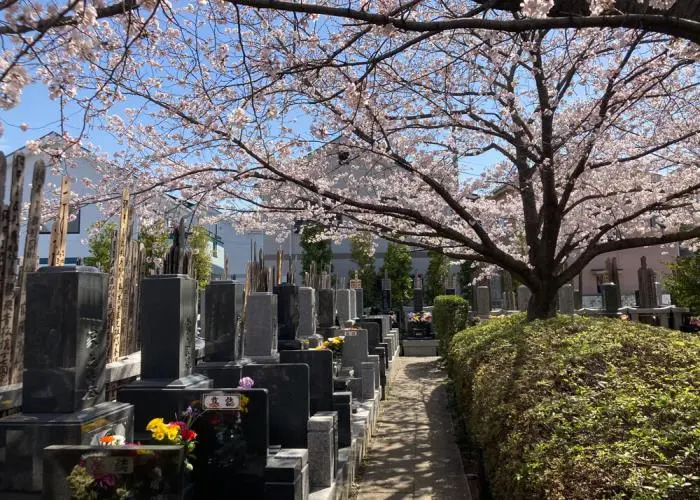 瑞応寺 写真