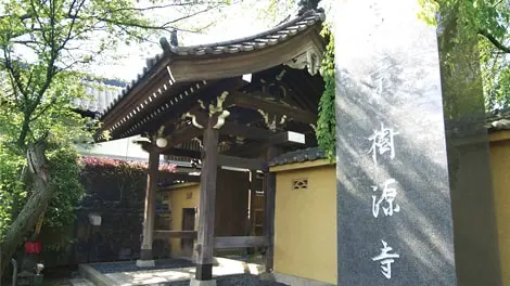 妙秀山 樹源寺 写真