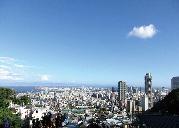 金毘羅山　雷声寺 写真