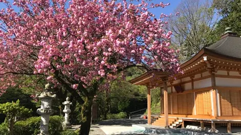 プレミアム愛川の里樹木葬墓地 写真