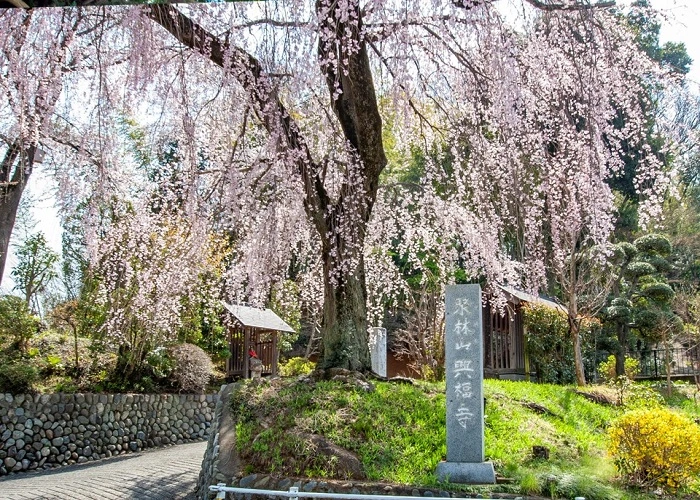 興福寺 写真