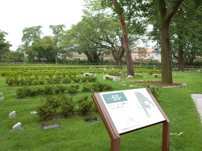 都立小平霊園 写真