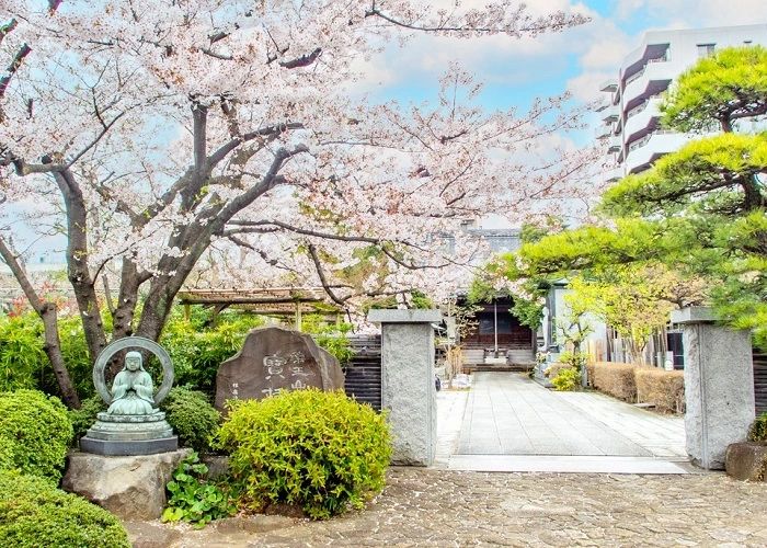 宝持院 写真