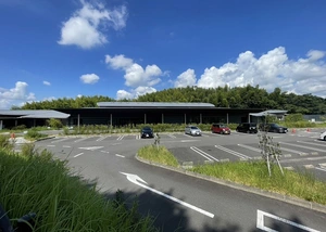 いつくしみの杜 写真