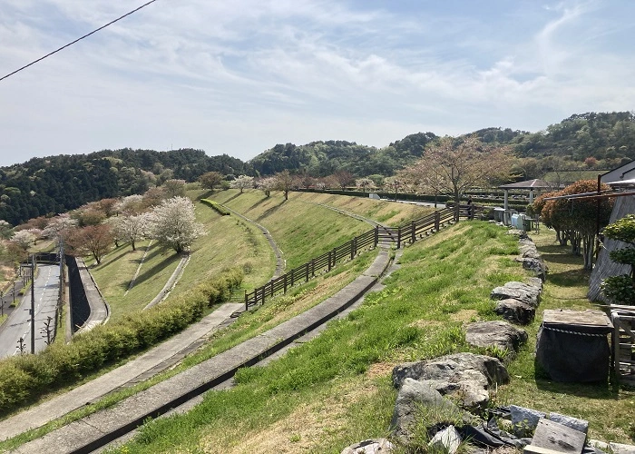 日立市営 日立鞍掛山霊園 写真