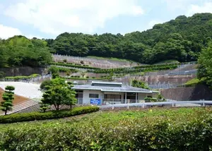 黒崎小嶺霊園 写真