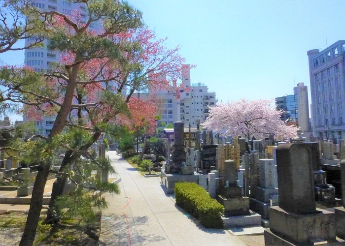 青山梅窓院墓苑 写真