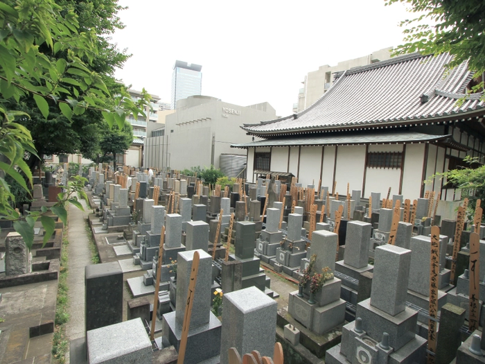 萬輝山 陽泉寺 写真