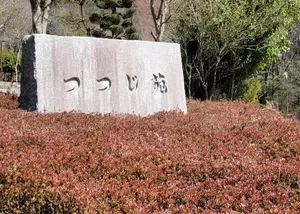 丹波市柏原斎場つつじ苑 写真