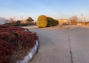 龍ケ崎市営斎場 写真