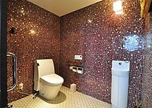 車椅子のままで入れるトイレを設置しております 写真