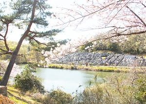 墓域から湖を見下ろす自然豊かな公園墓地です 写真