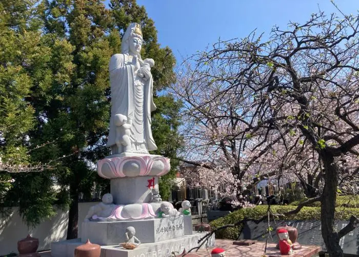 瑞応寺 写真