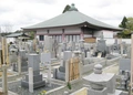 五智山 蓮華寺 写真