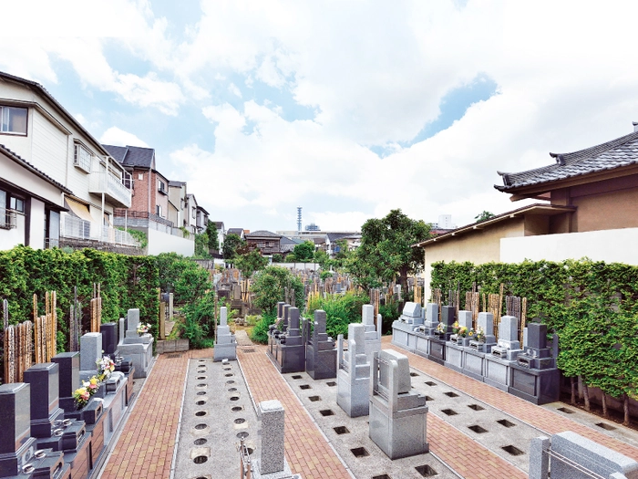 一樹山 宗柏寺 写真