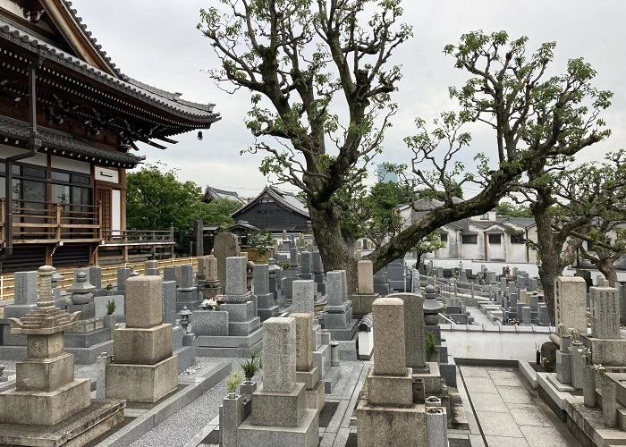 齢延寺 写真