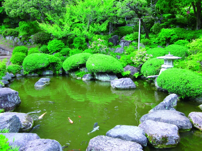 大多摩霊園 写真