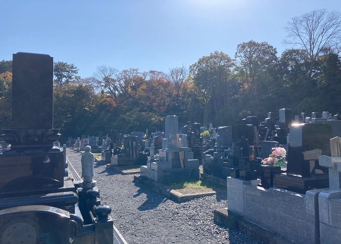 5121dacea6fd6091b925a59ca4e136