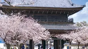 光明寺（浄土宗大本山）(一般墓)