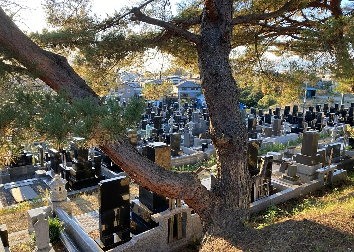 塩竃市 月見ヶ丘霊園墓地 写真