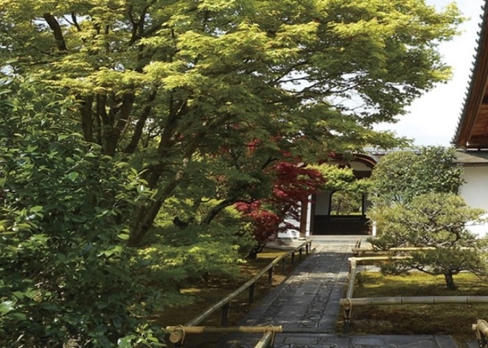 興臨院（大徳寺塔頭） 写真