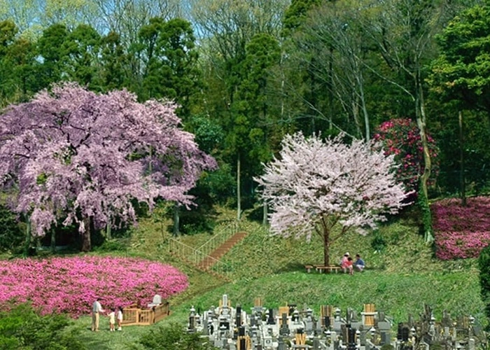 金鳳山 龍散禅寺 写真