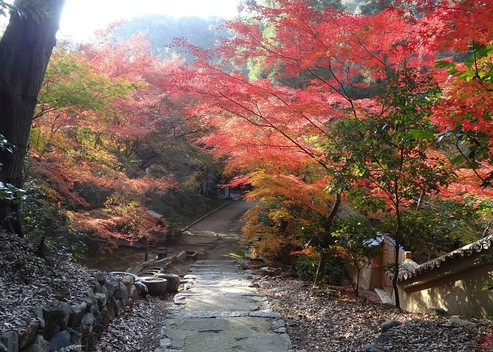 臥雲山即宗院「自然苑」 写真