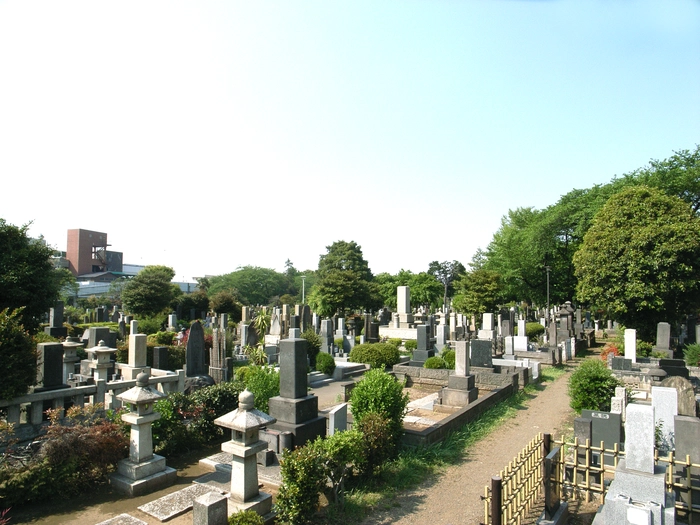 都立染井霊園 写真