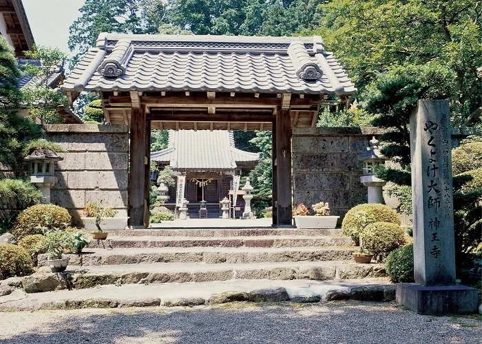 芭蕉ヶ丘霊園 写真