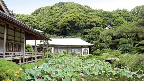 光明寺（浄土宗大本山） 写真