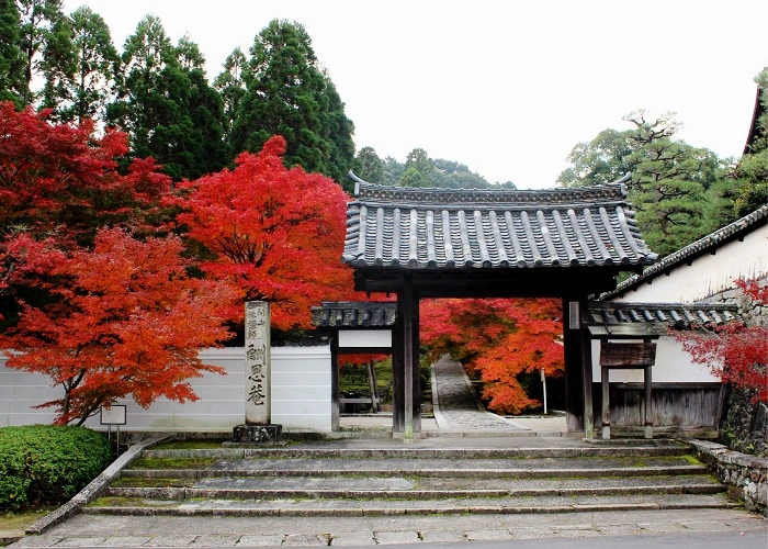 酬恩庵 一休寺 写真