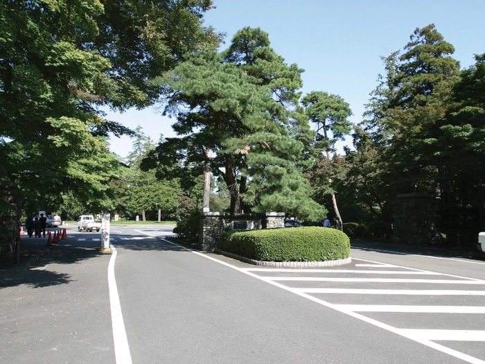 都立八柱霊園 写真