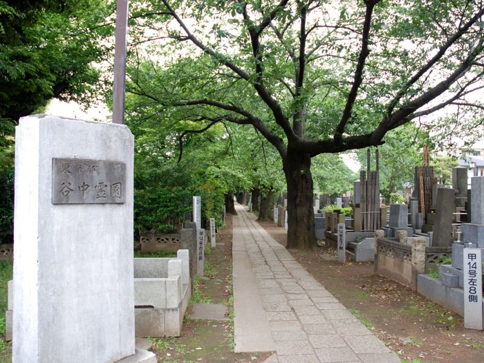 都立谷中霊園 写真