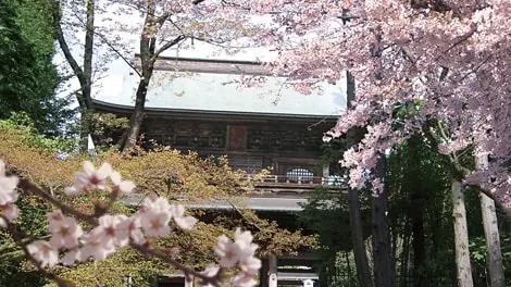 臨済宗大本山 円覚寺 写真