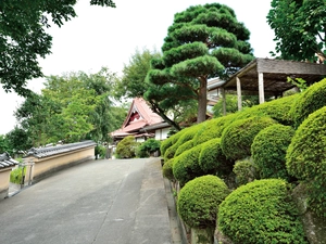 大泉寺墓所 写真